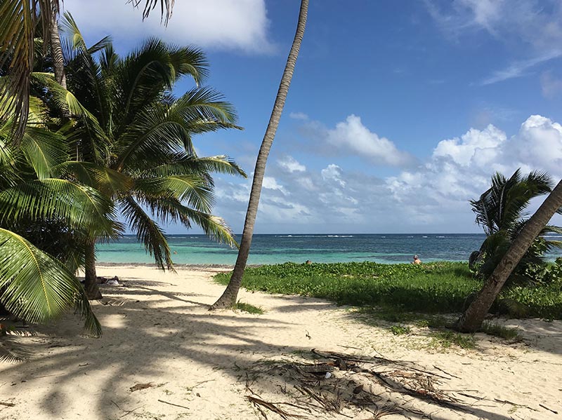 location vacances Martinique