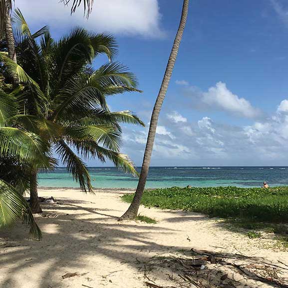 location vacances Martinique
